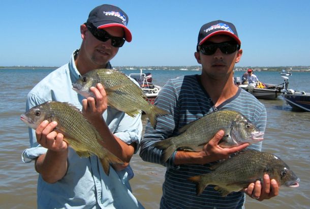 Big field kicks off Squidgie Bream Southern Series